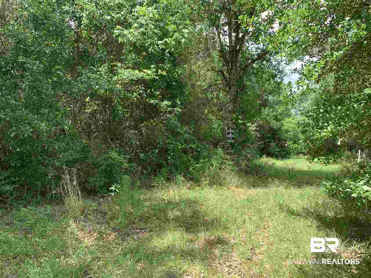 27265 Glass Road Robertsdale, AL 36567 - Photo 4 of 6