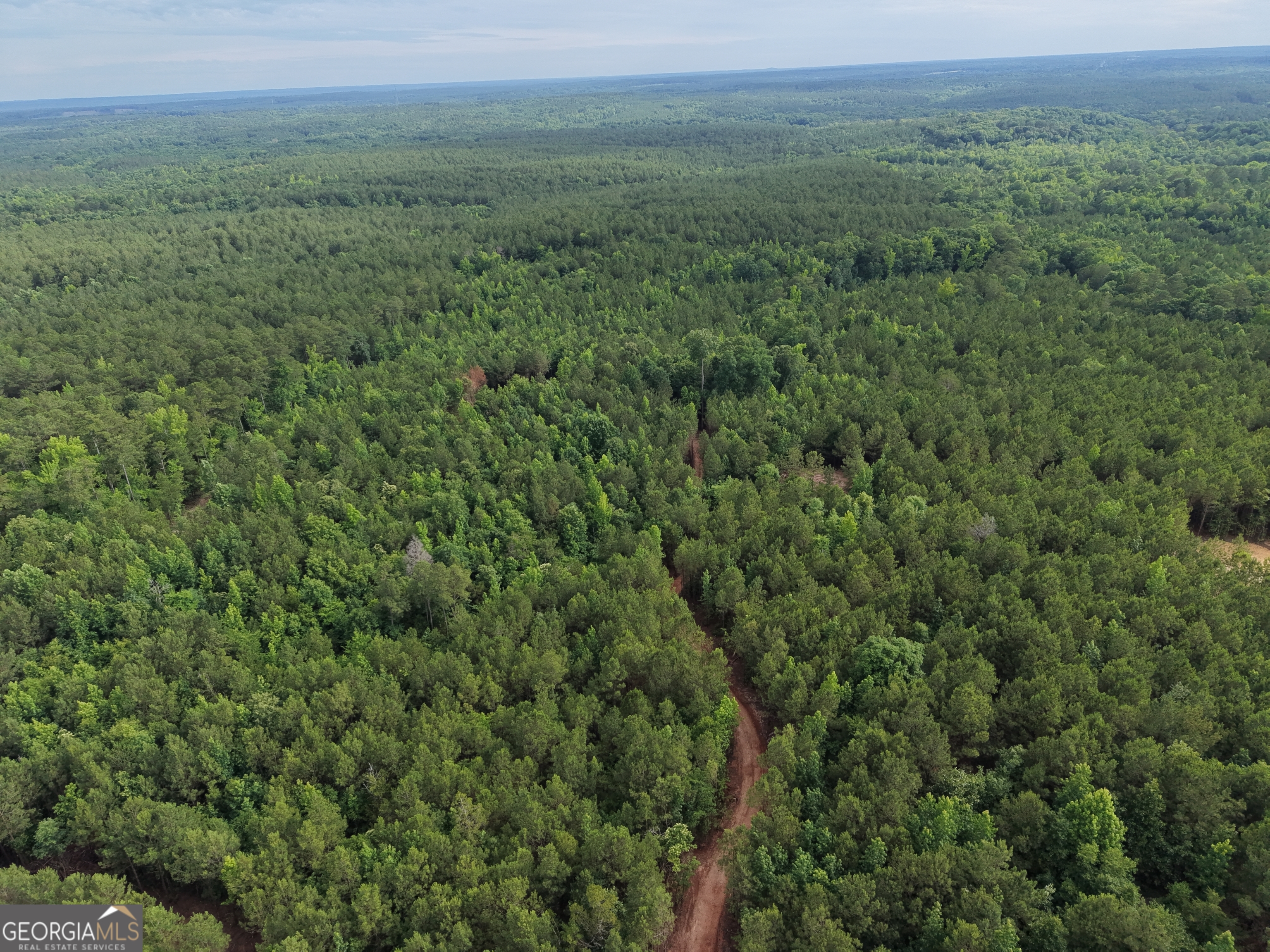 2807 Cedar Creek Road Elberton, GA 30635 - Photo 100 of 109