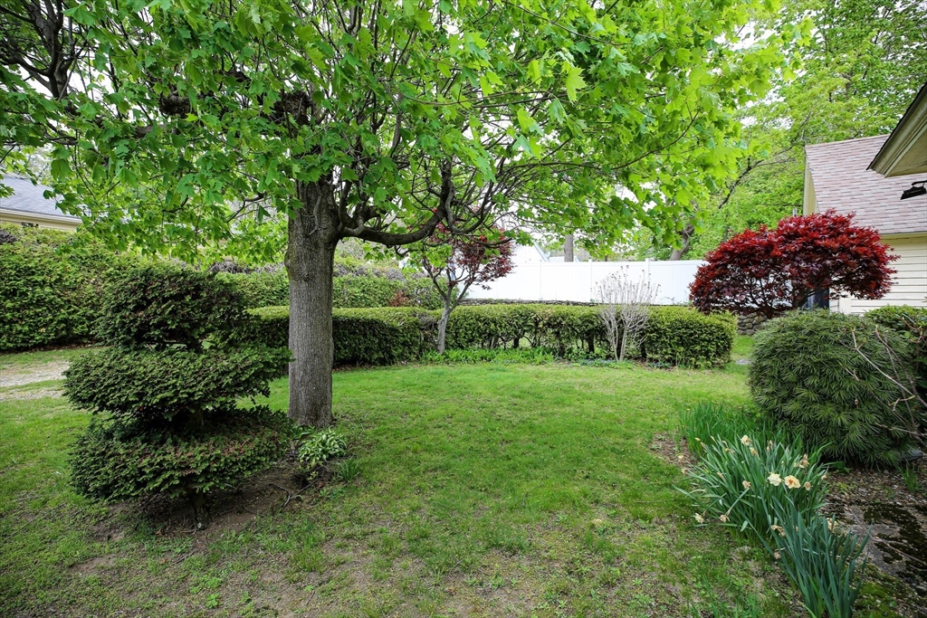 14 Hadwen Road Worcester, MA 01602 - Photo 33 of 40 Gallery Image 33