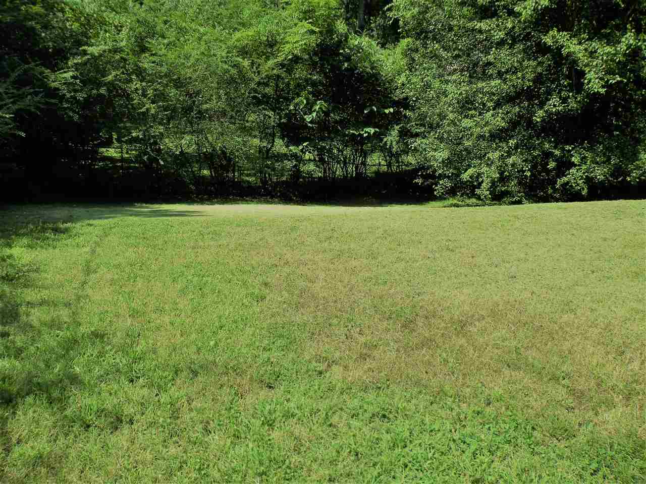 3041 Carnoustie Road Memphis, TN 38128 - Photo 23 of 25 with gate access at back of yard- other side outside of property is overgrown but if you look at the map, it is on the backside of the lake. Seller believes lot may extend past chain link fence.