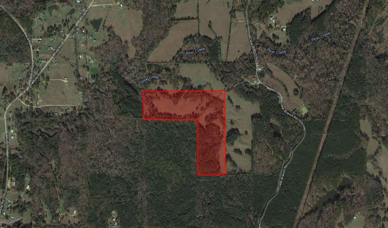 0 Clear Branch Road Florence, MS 39073 - Photo 1 of 38 Photo 1