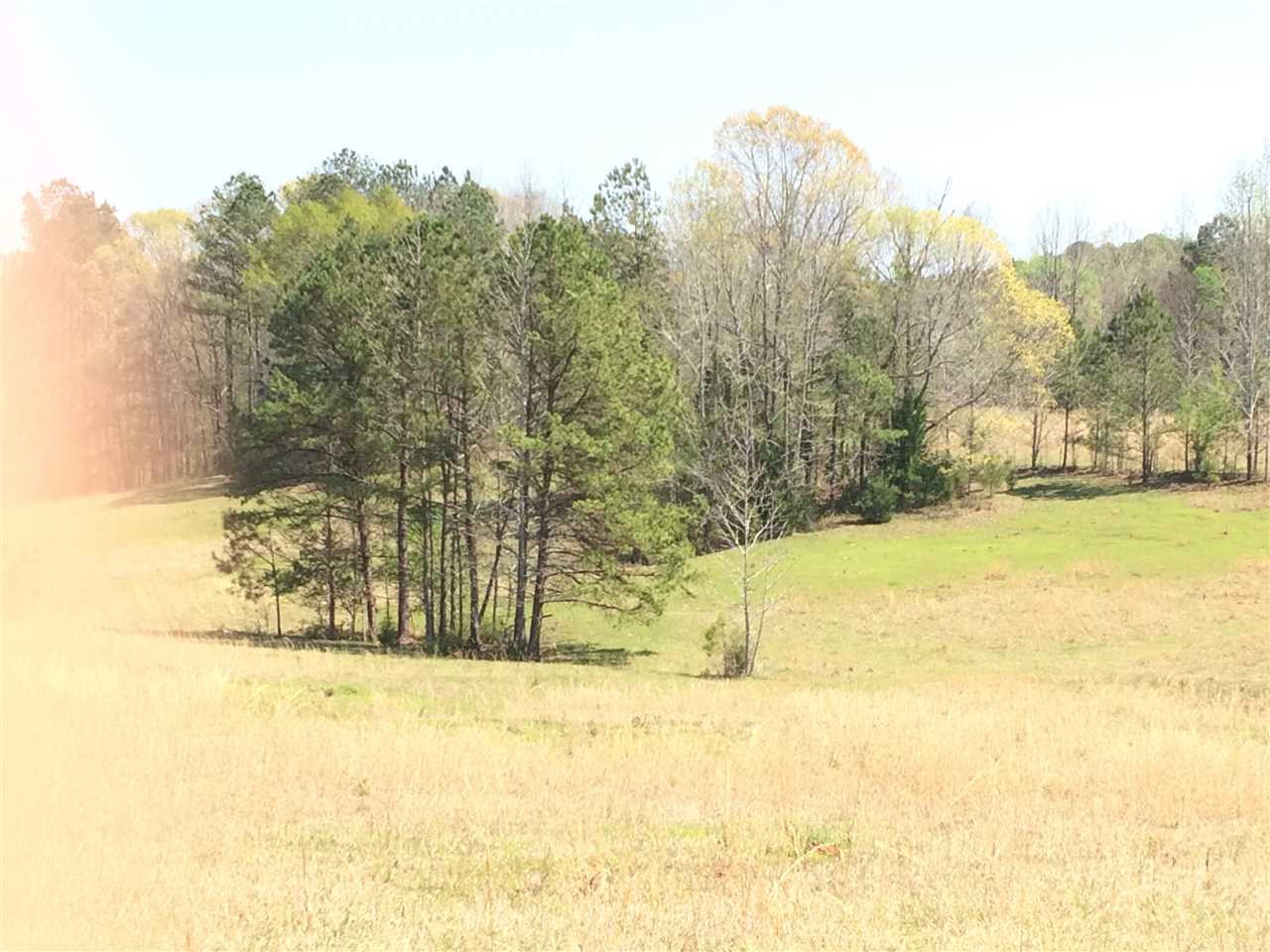 0 Clear Branch Road Florence, MS 39073 - Photo 11 of 38 Photo 11