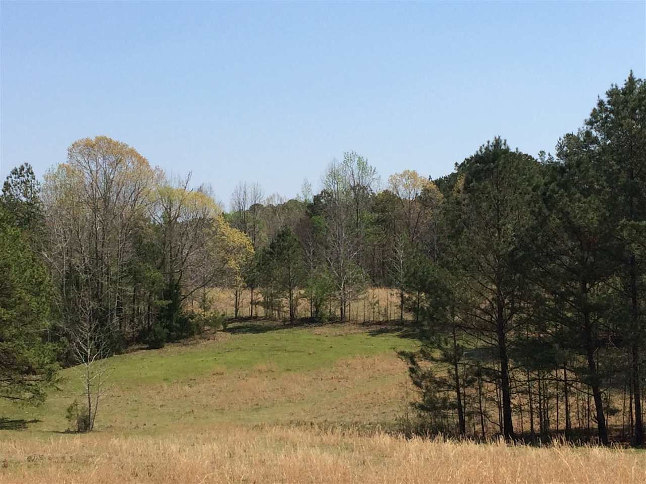 0 Clear Branch Road Florence, MS 39073 - Photo 12 of 38 Photo 12