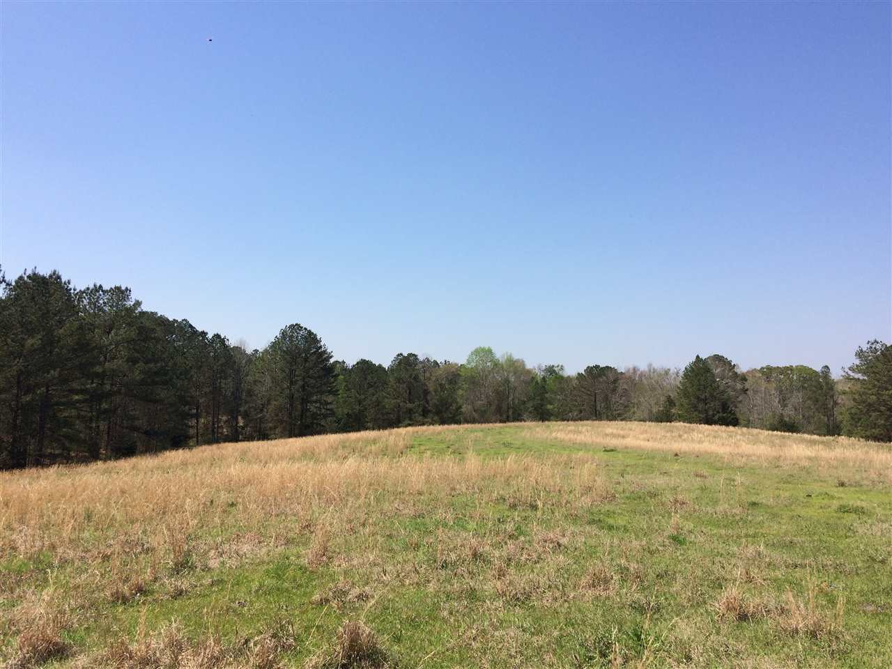0 Clear Branch Road Florence, MS 39073 - Photo 13 of 38 Photo 13