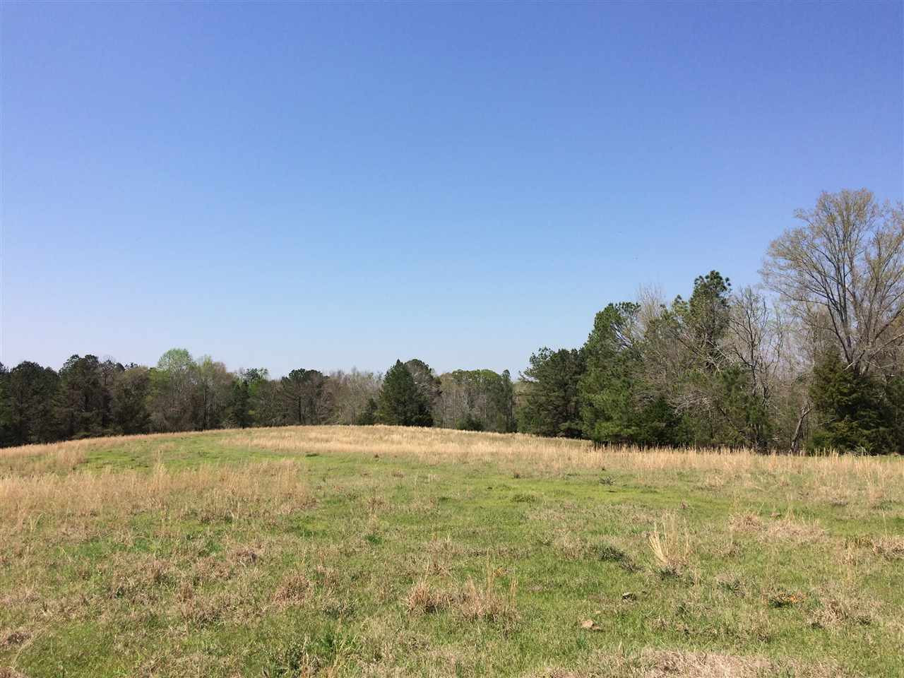 0 Clear Branch Road Florence, MS 39073 - Photo 14 of 38 Photo 14