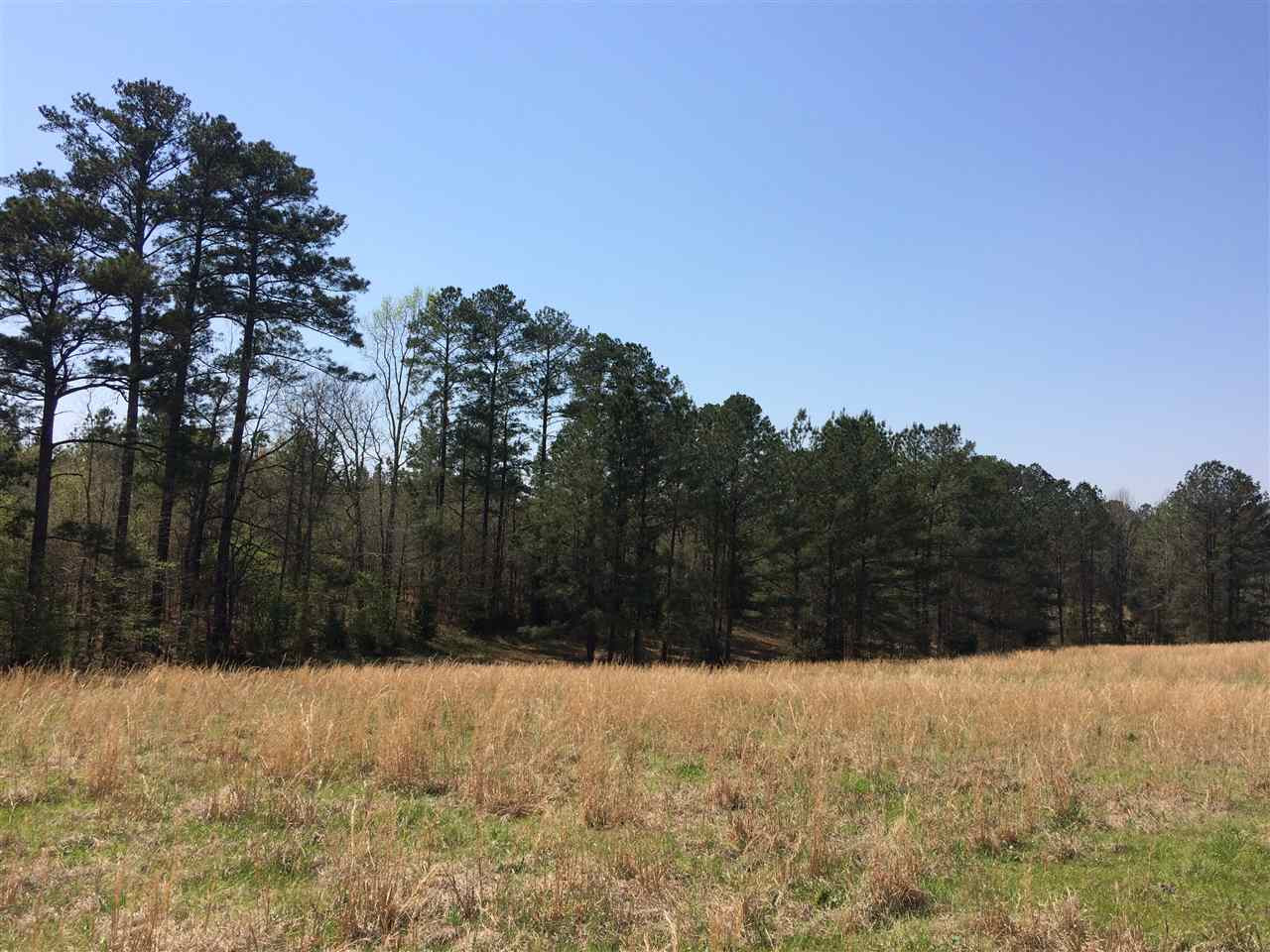 0 Clear Branch Road Florence, MS 39073 - Photo 15 of 38 Photo 15