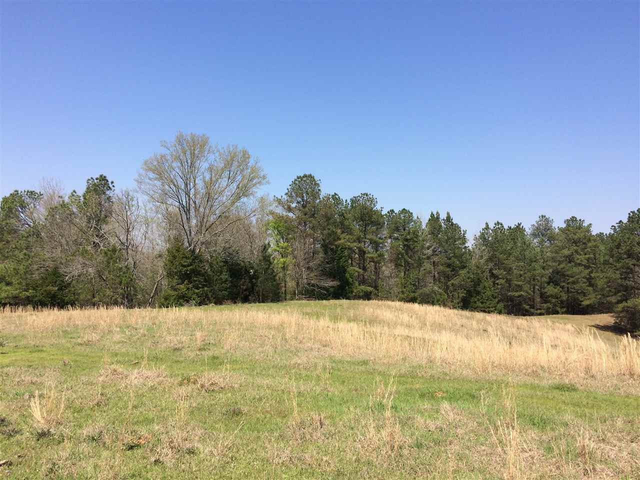 0 Clear Branch Road Florence, MS 39073 - Photo 16 of 38 Photo 16