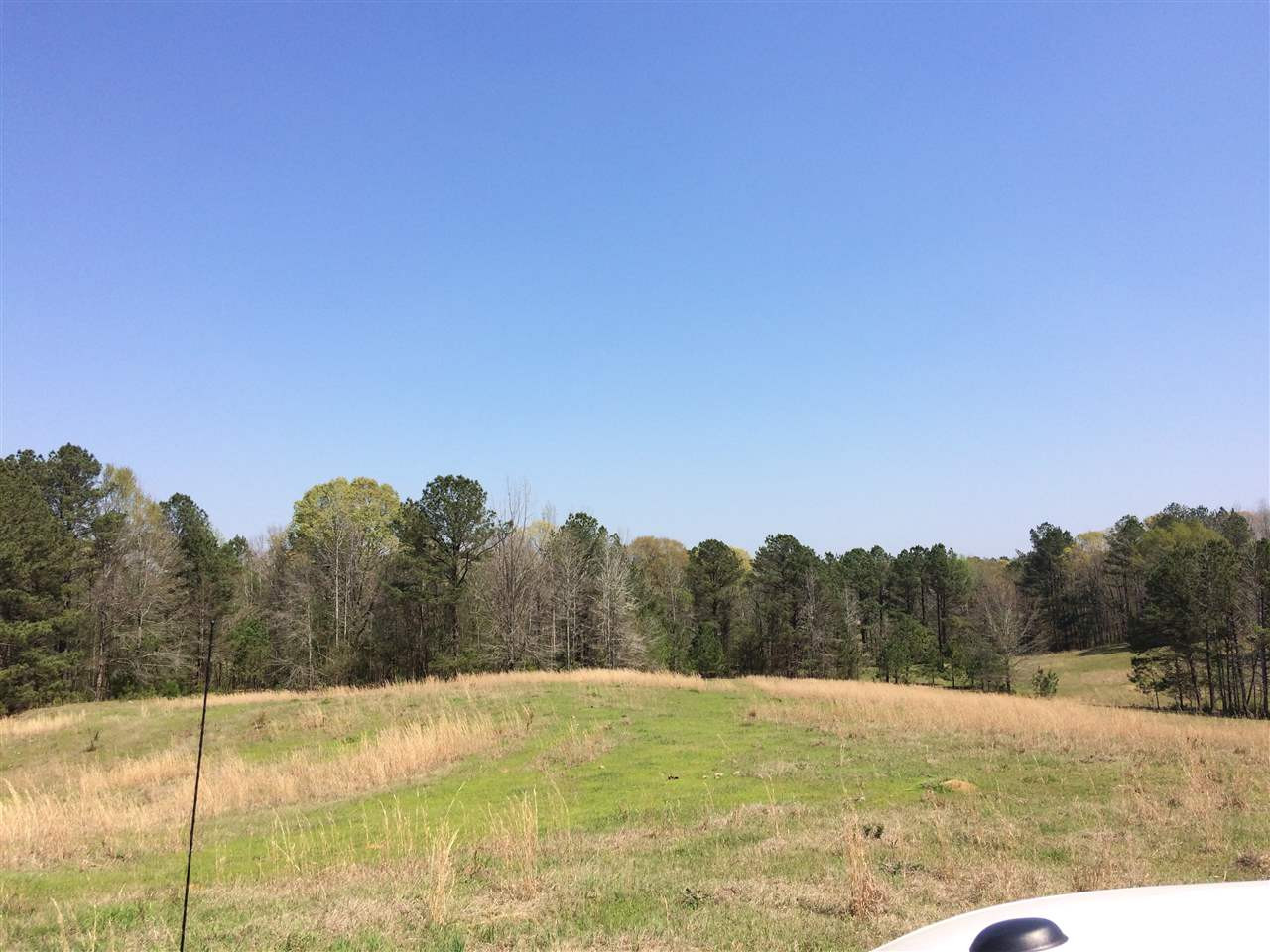 0 Clear Branch Road Florence, MS 39073 - Photo 17 of 38 Photo 17