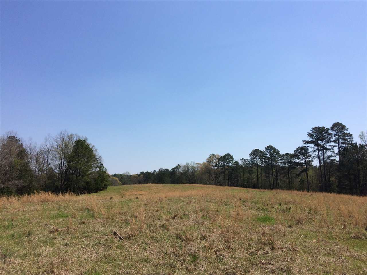 0 Clear Branch Road Florence, MS 39073 - Photo 18 of 38 Photo 18