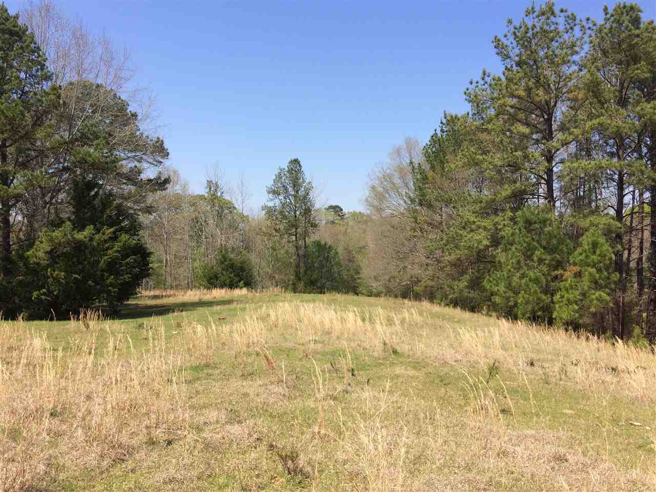 0 Clear Branch Road Florence, MS 39073 - Photo 19 of 38 Photo 19