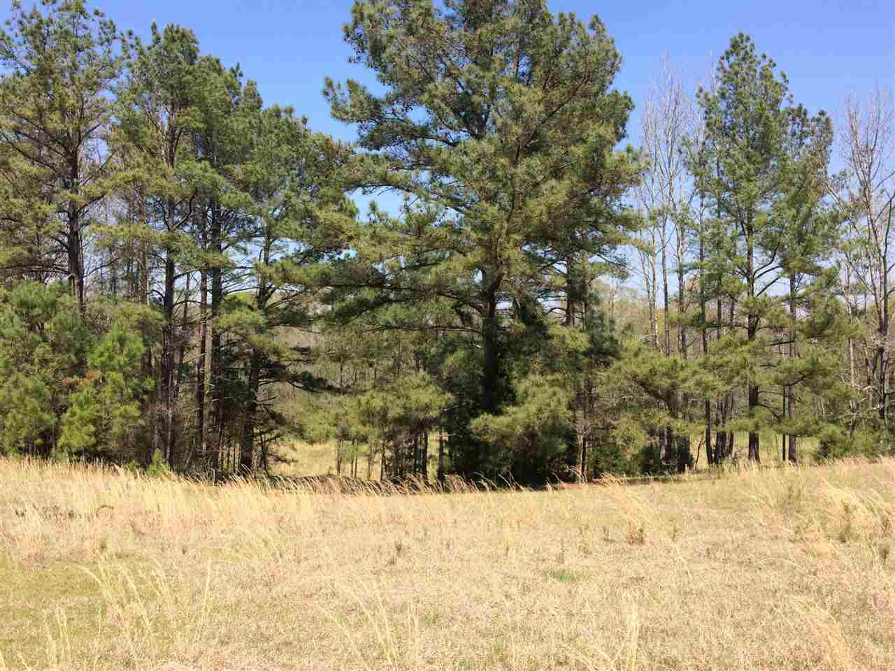 0 Clear Branch Road Florence, MS 39073 - Photo 20 of 38 Photo 20