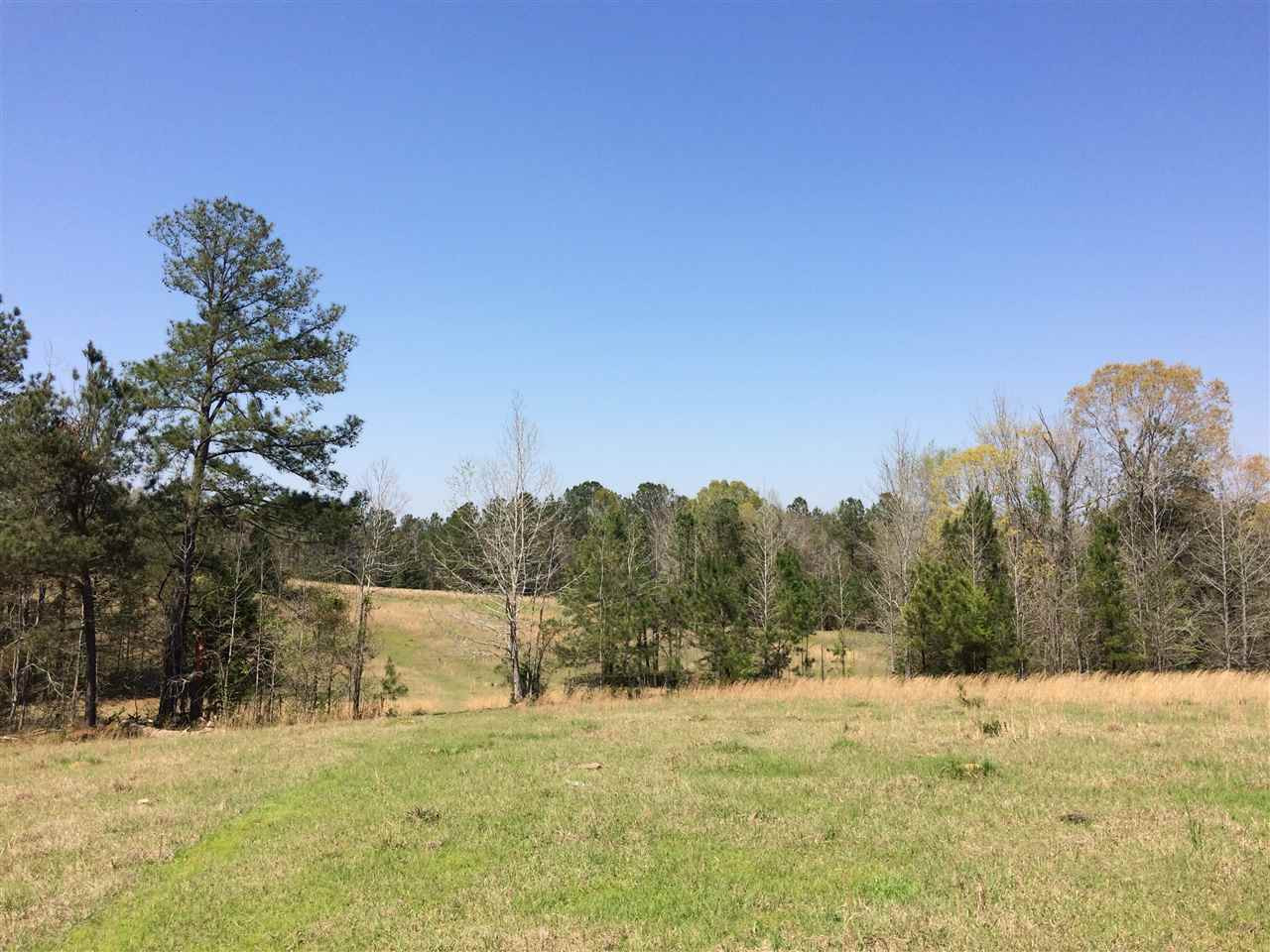 0 Clear Branch Road Florence, MS 39073 - Photo 2 of 38 Photo 2