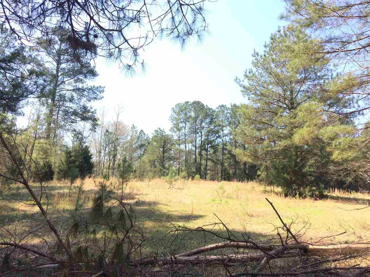 0 Clear Branch Road Florence, MS 39073 - Photo 21 of 38 Photo 21