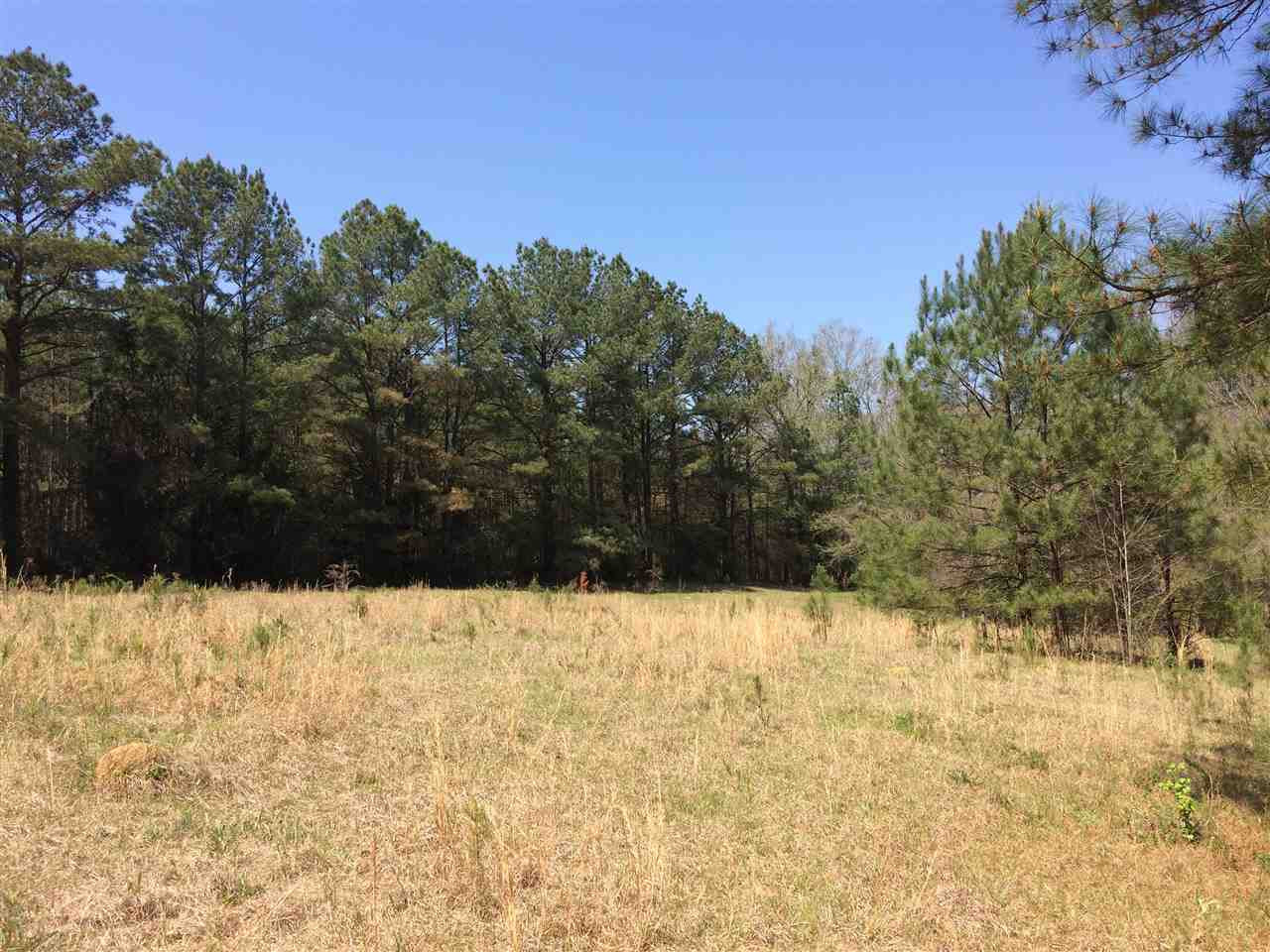 0 Clear Branch Road Florence, MS 39073 - Photo 22 of 38 Photo 22