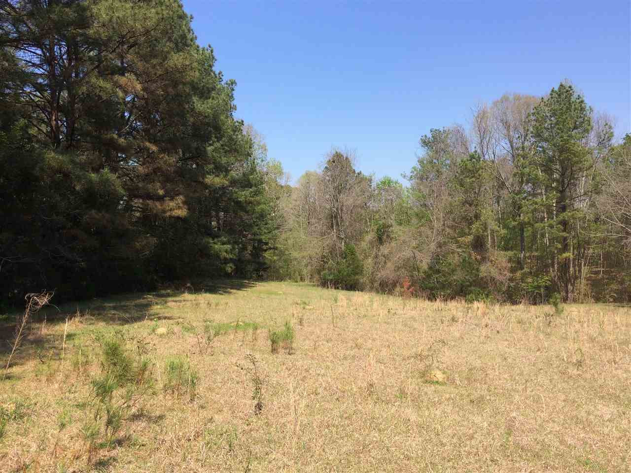 0 Clear Branch Road Florence, MS 39073 - Photo 23 of 38 Photo 23