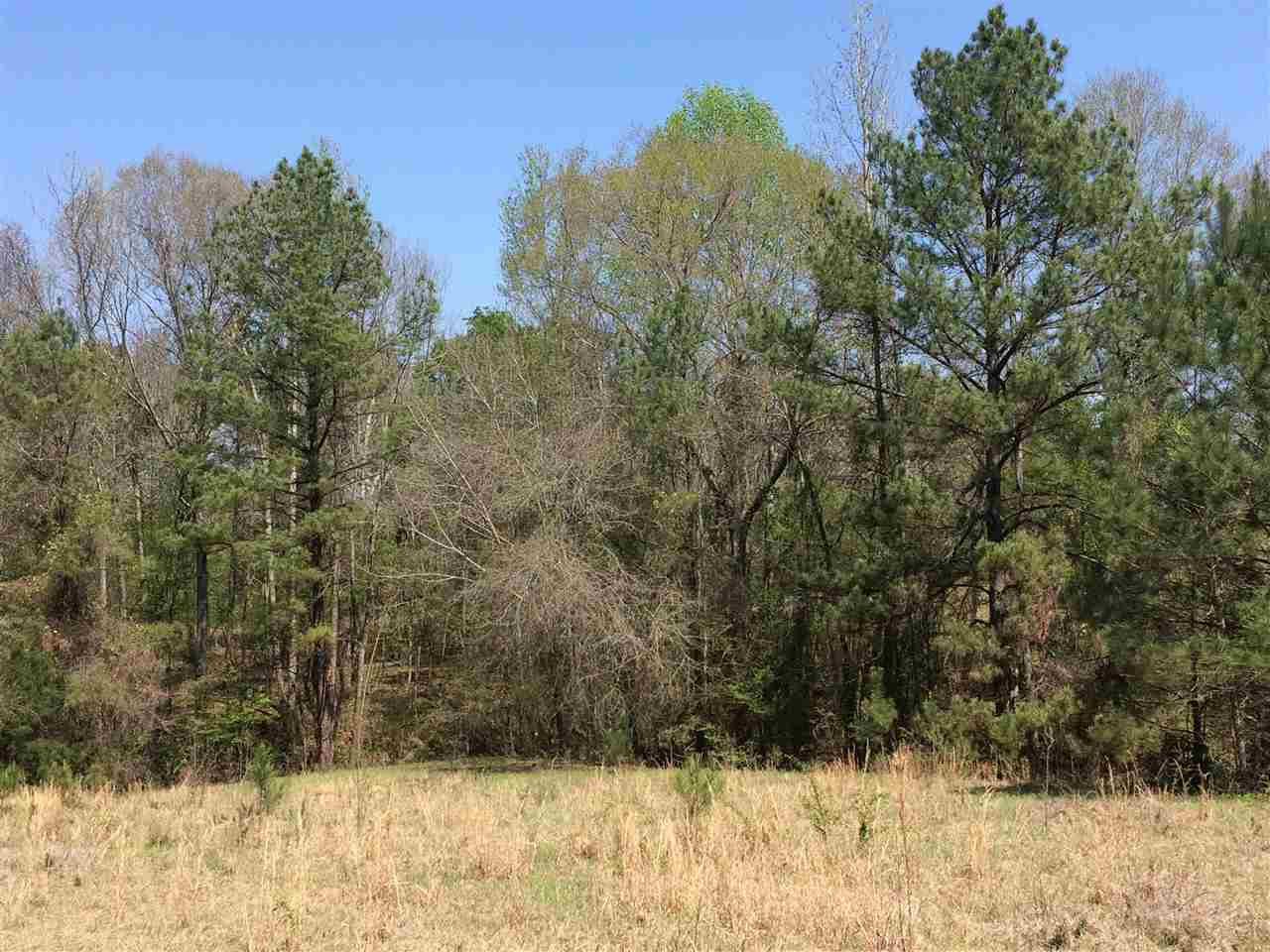 0 Clear Branch Road Florence, MS 39073 - Photo 24 of 38 Photo 24