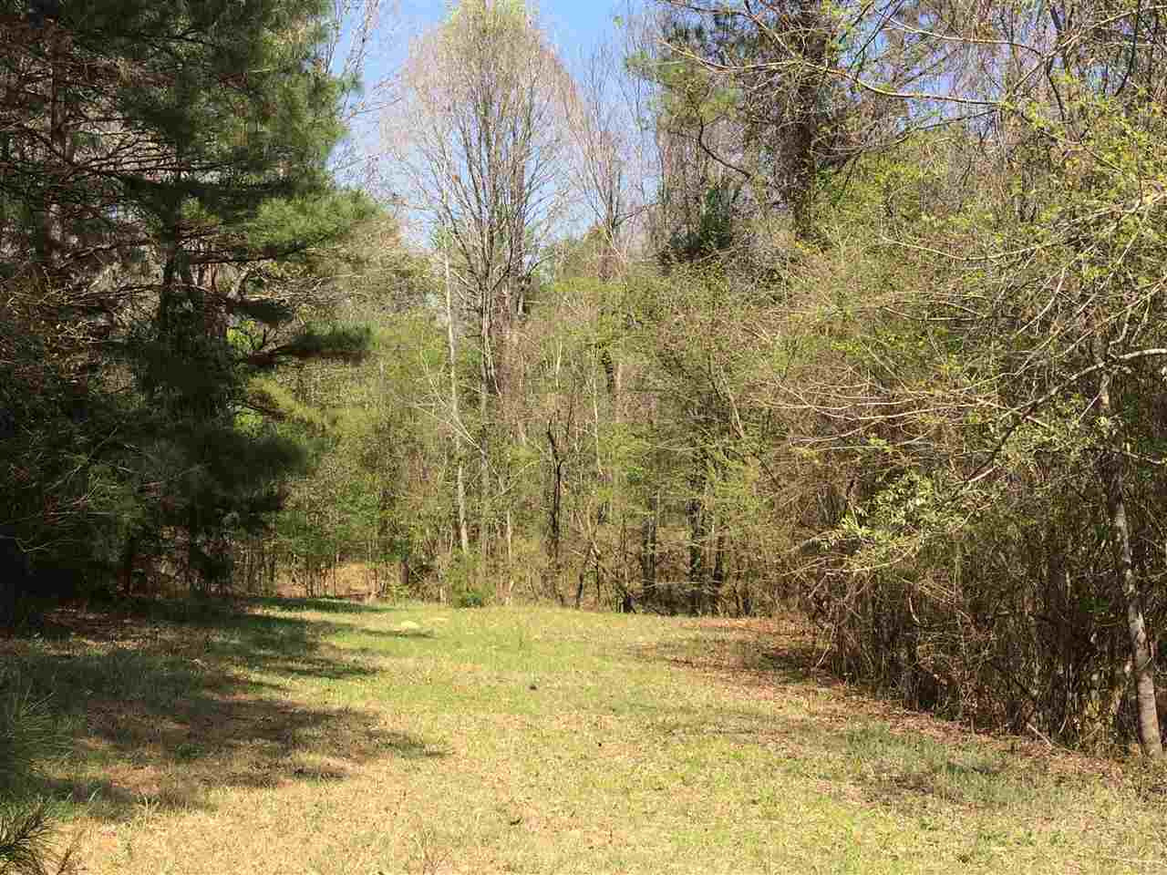 0 Clear Branch Road Florence, MS 39073 - Photo 25 of 38 Photo 25