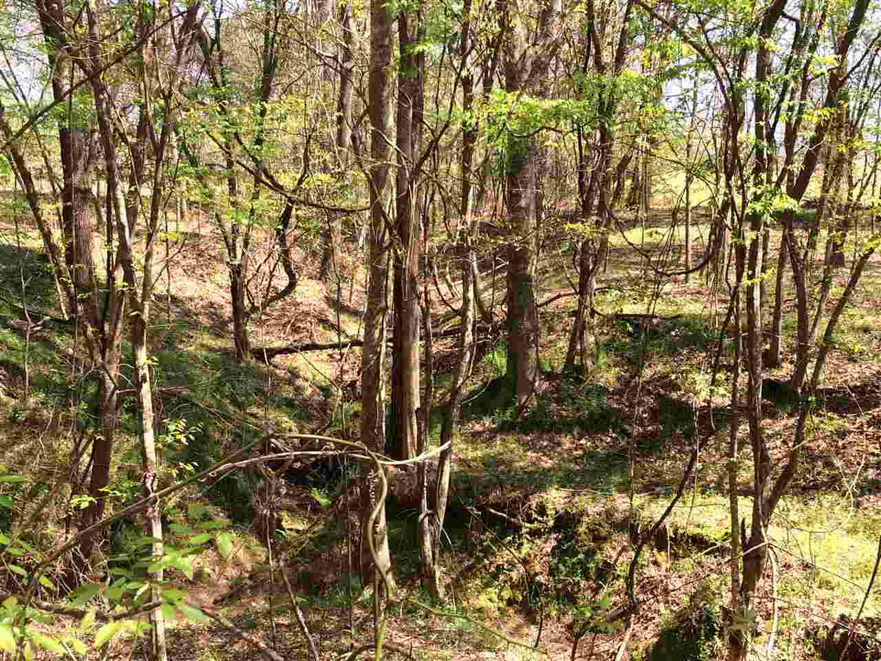 0 Clear Branch Road Florence, MS 39073 - Photo 26 of 38 Photo 26