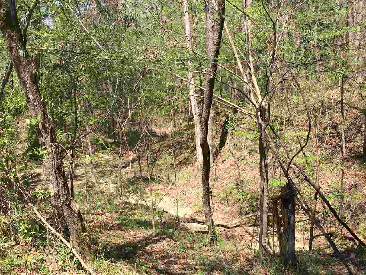 0 Clear Branch Road Florence, MS 39073 - Photo 27 of 38 Photo 27