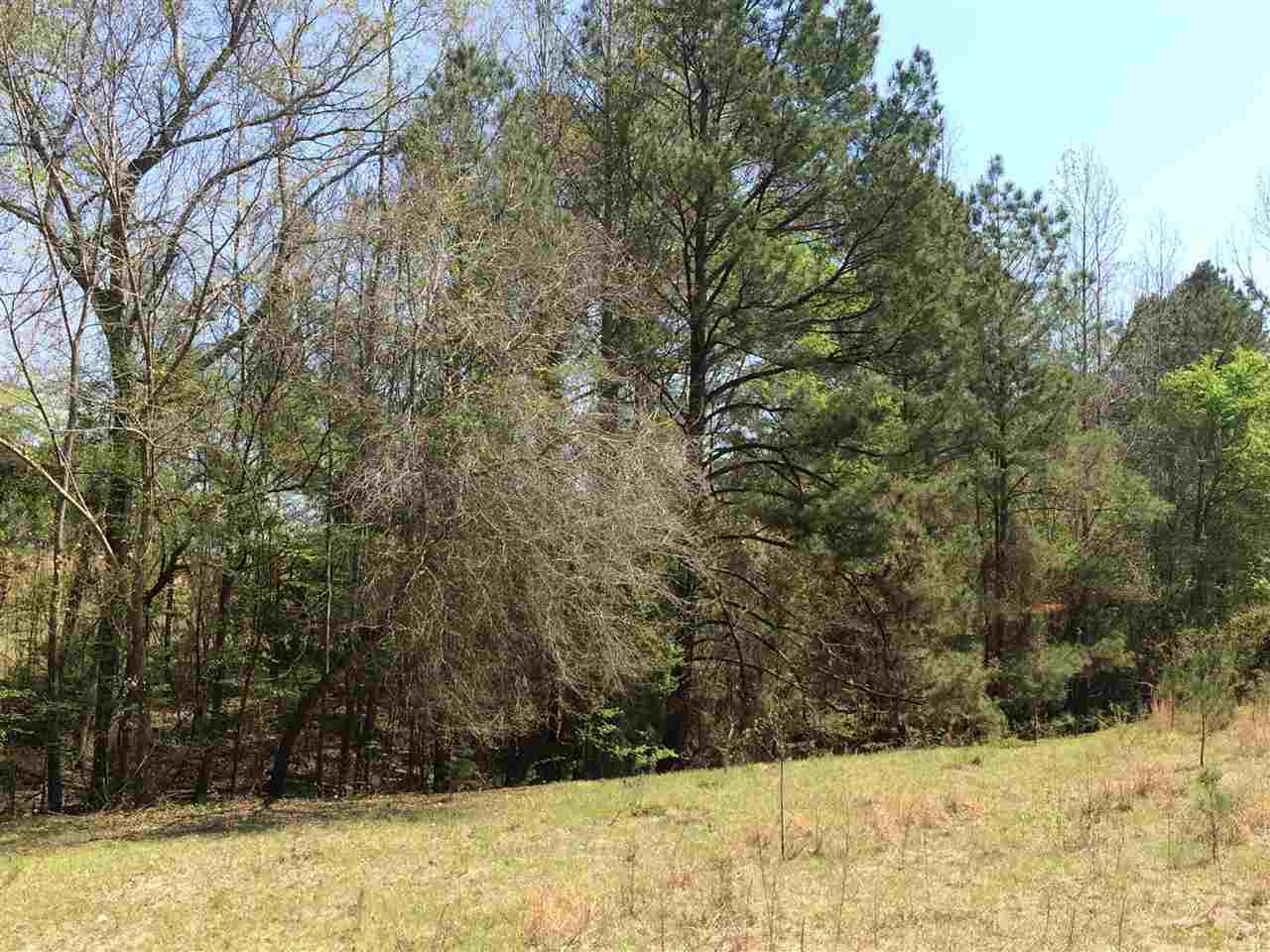 0 Clear Branch Road Florence, MS 39073 - Photo 28 of 38 Photo 28