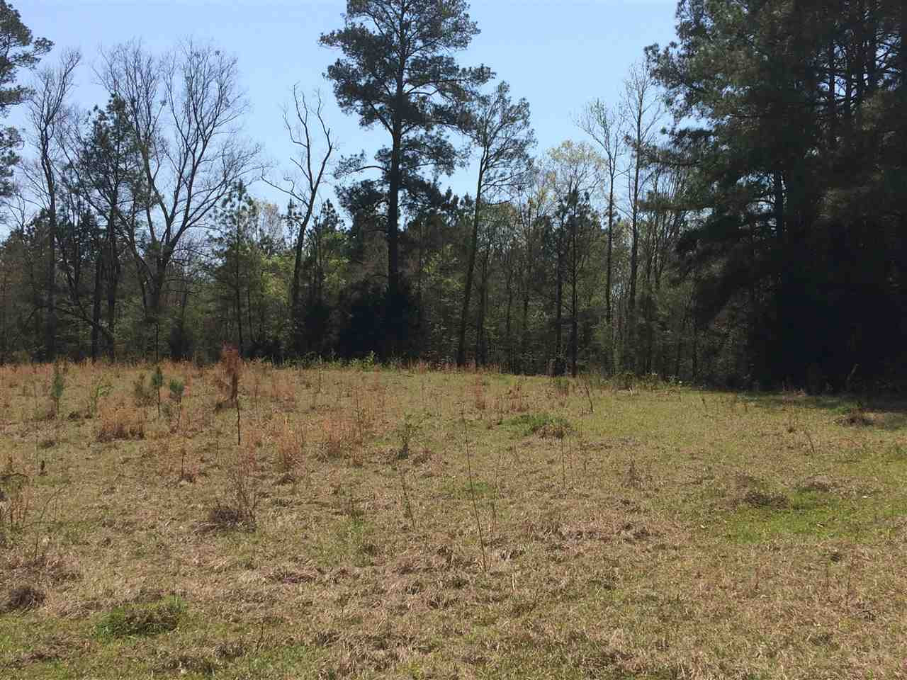 0 Clear Branch Road Florence, MS 39073 - Photo 29 of 38 Photo 29