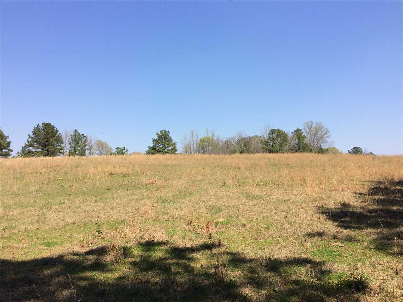 0 Clear Branch Road Florence, MS 39073 - Photo 31 of 38 Photo 31