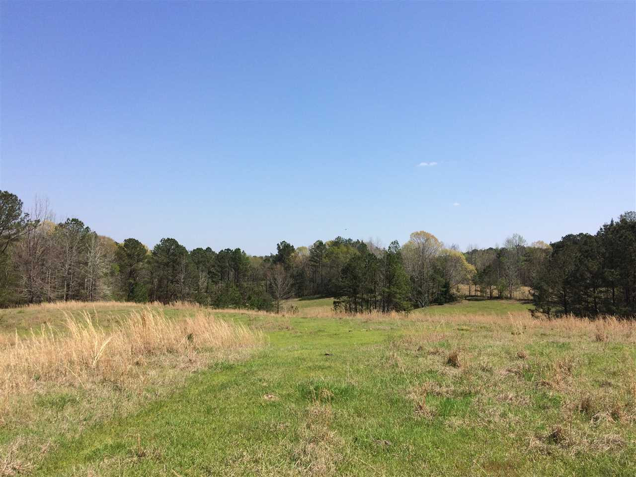 0 Clear Branch Road Florence, MS 39073 - Photo 33 of 38 Photo 33
