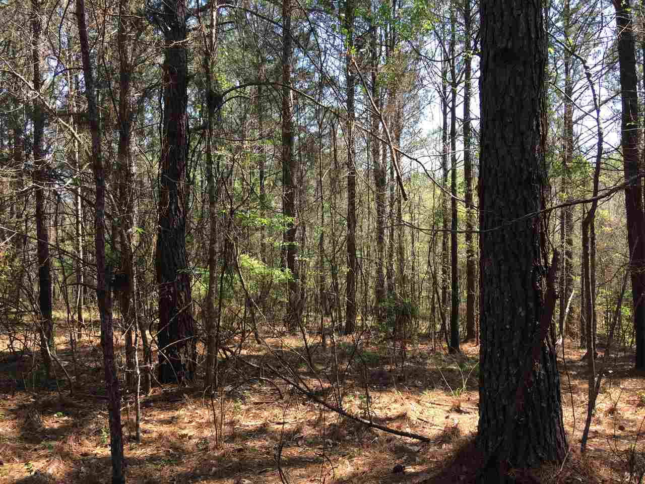 0 Clear Branch Road Florence, MS 39073 - Photo 35 of 38 Photo 35