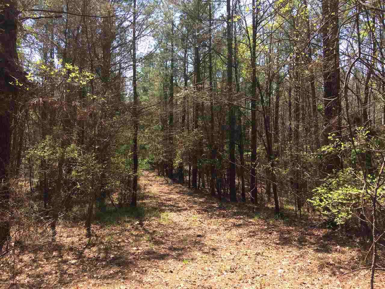 0 Clear Branch Road Florence, MS 39073 - Photo 36 of 38 Photo 36