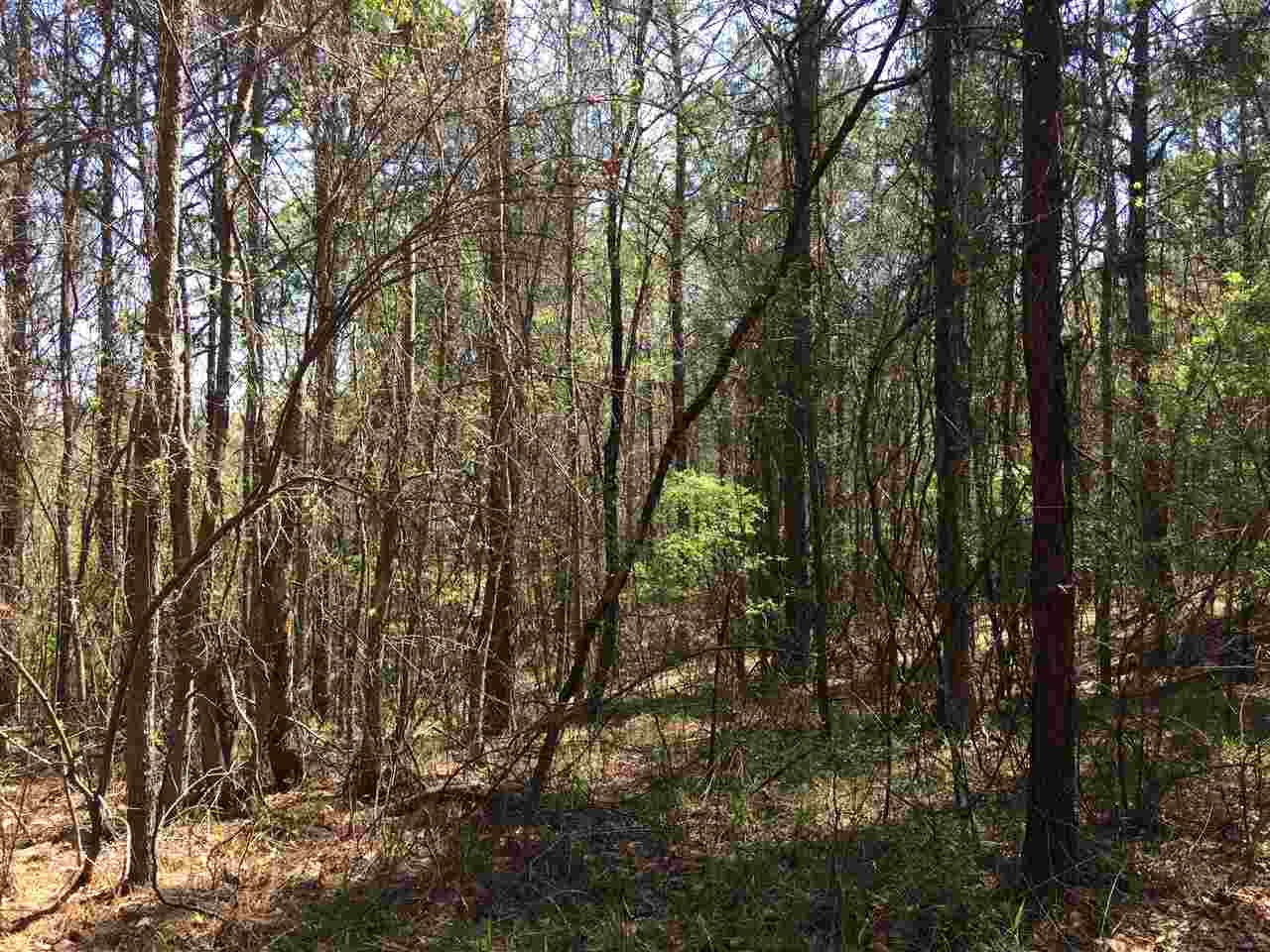 0 Clear Branch Road Florence, MS 39073 - Photo 37 of 38 Photo 37