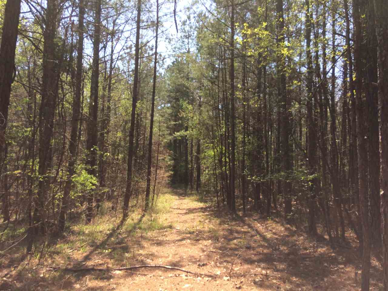 0 Clear Branch Road Florence, MS 39073 - Photo 38 of 38 Photo 38