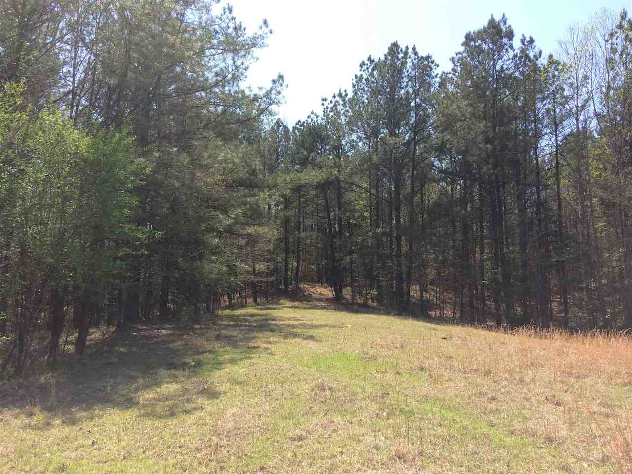 0 Clear Branch Road Florence, MS 39073 - Photo 4 of 38 Photo 4