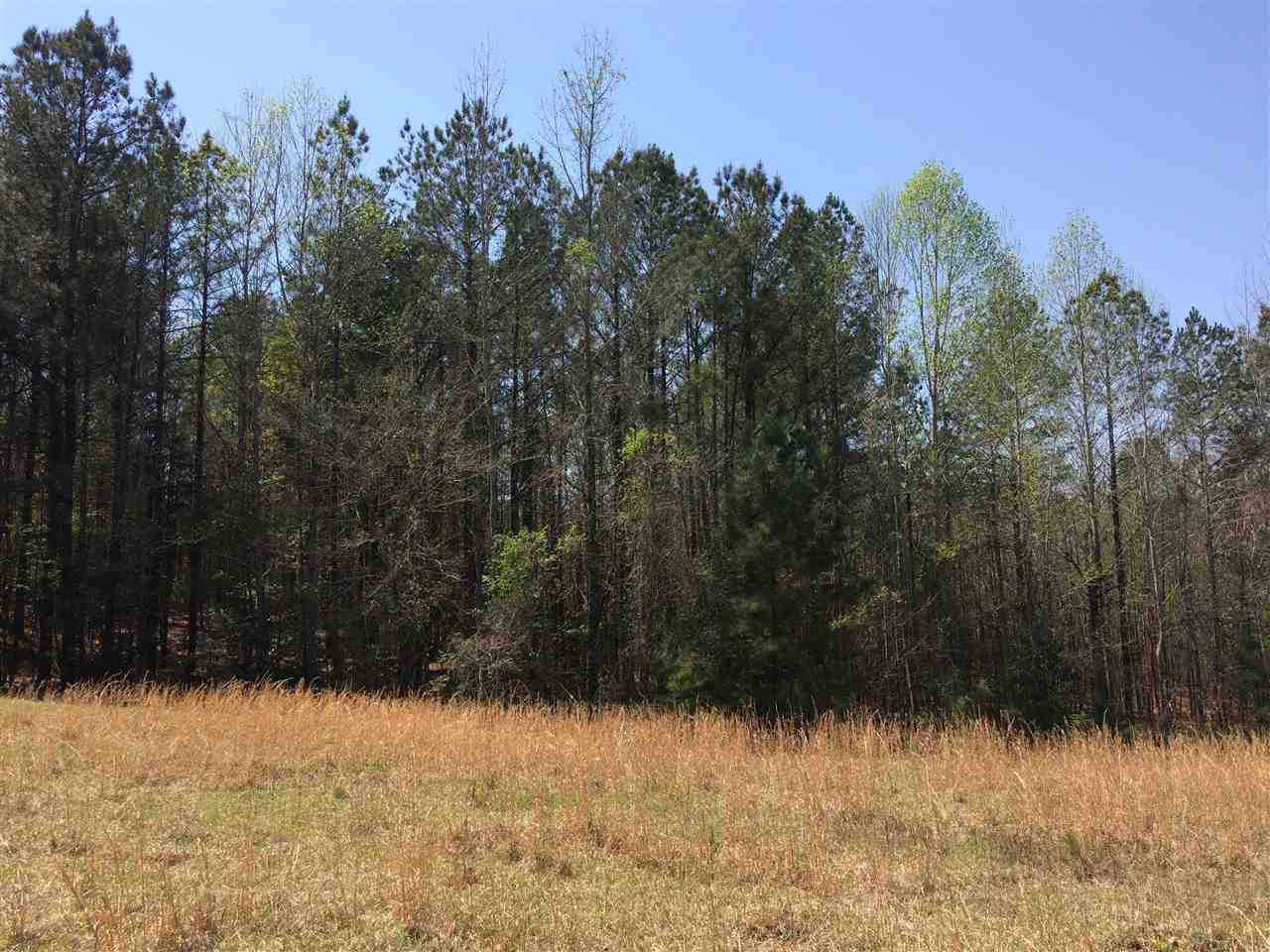 0 Clear Branch Road Florence, MS 39073 - Photo 5 of 38 Photo 5