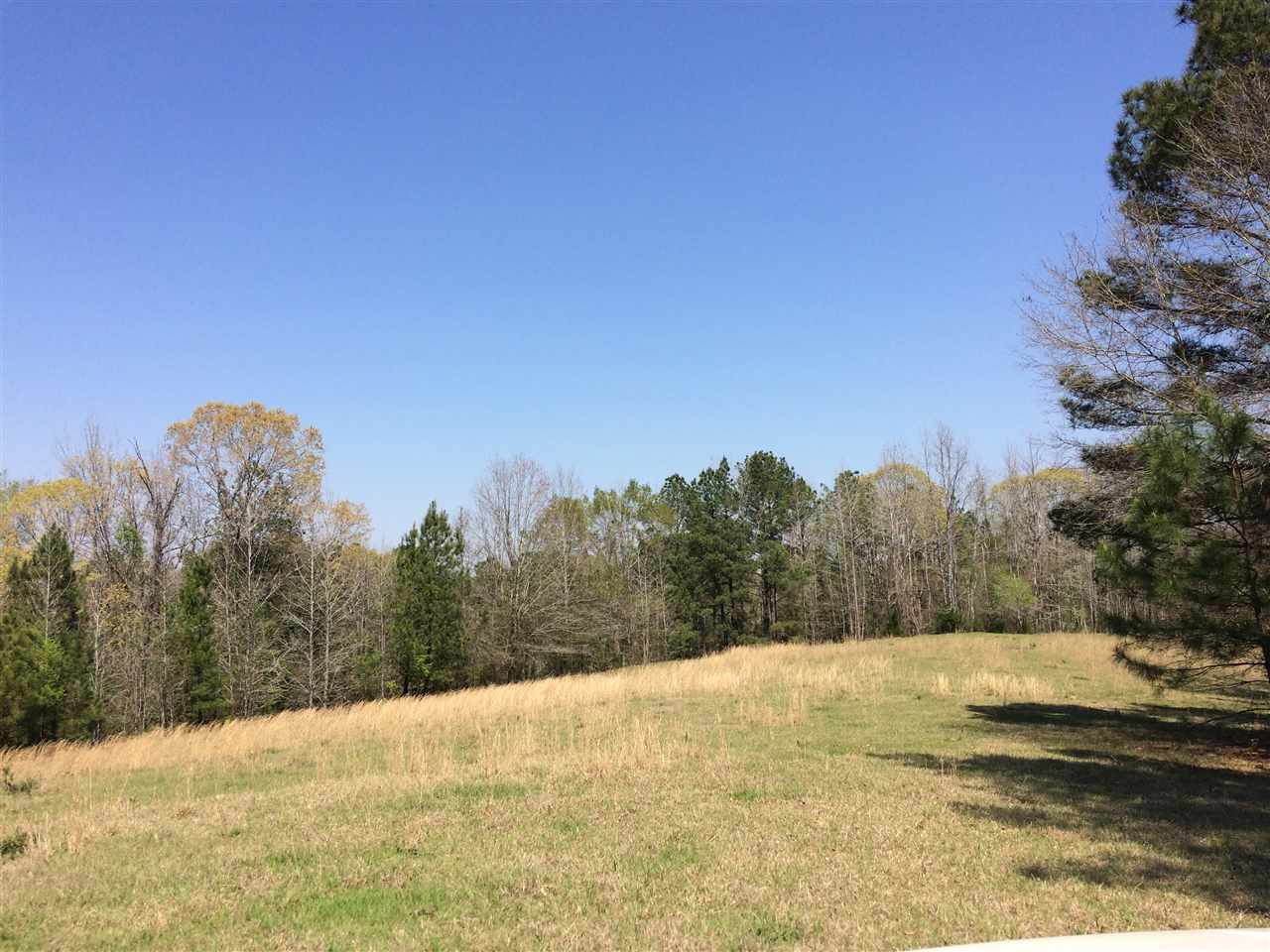 0 Clear Branch Road Florence, MS 39073 - Photo 6 of 38 Photo 6