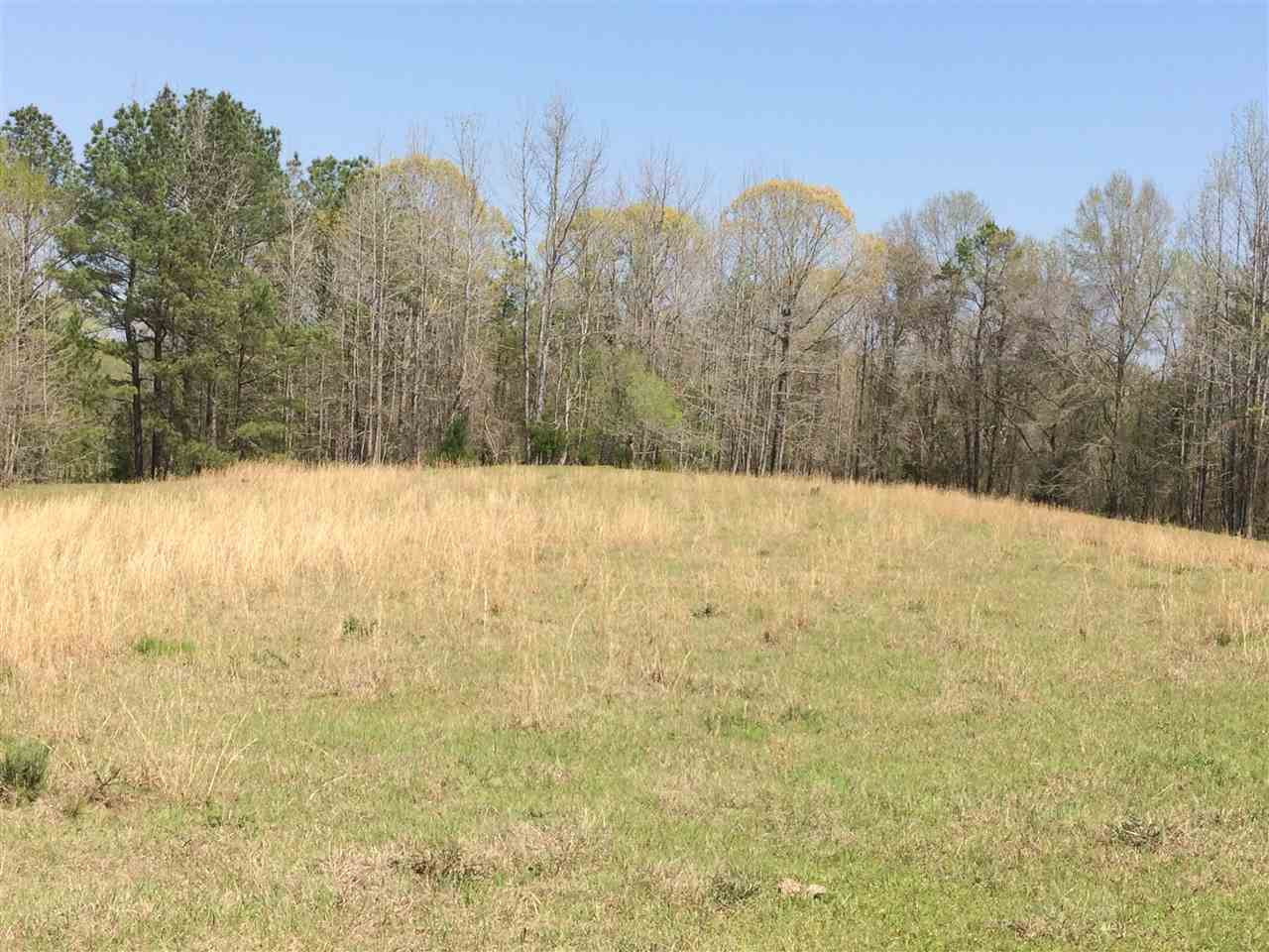 0 Clear Branch Road Florence, MS 39073 - Photo 7 of 38 Photo 7