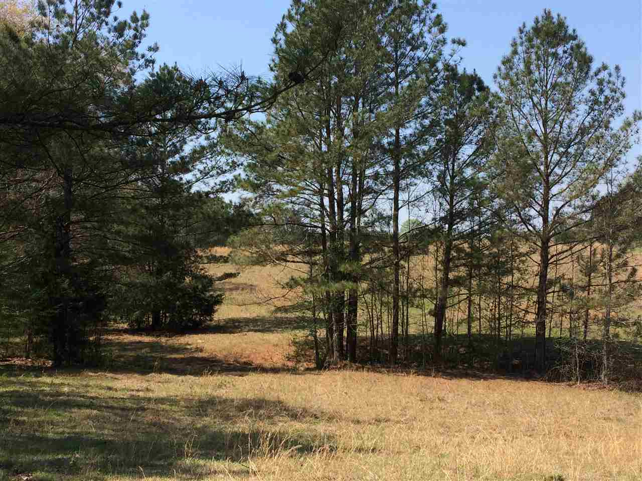0 Clear Branch Road Florence, MS 39073 - Photo 9 of 38 Photo 9