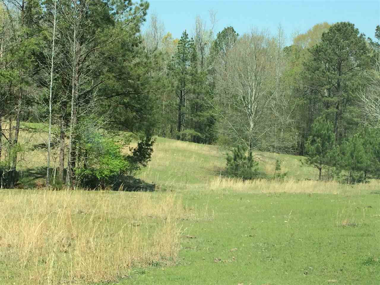 0 Clear Branch Road Florence, MS 39073 - Photo 10 of 38 Photo 10