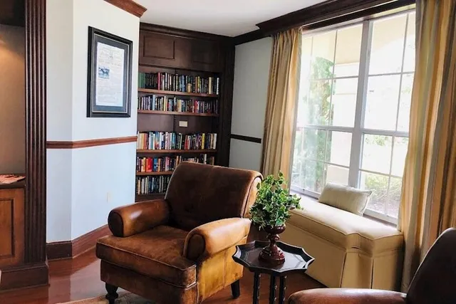 a living room with furniture and a potted plant