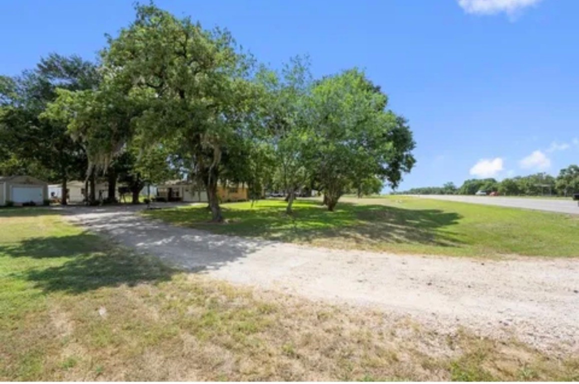 2291 State Highway 71 Columbus, TX 78934 - Photo 8 of 12 a view of a park with large trees