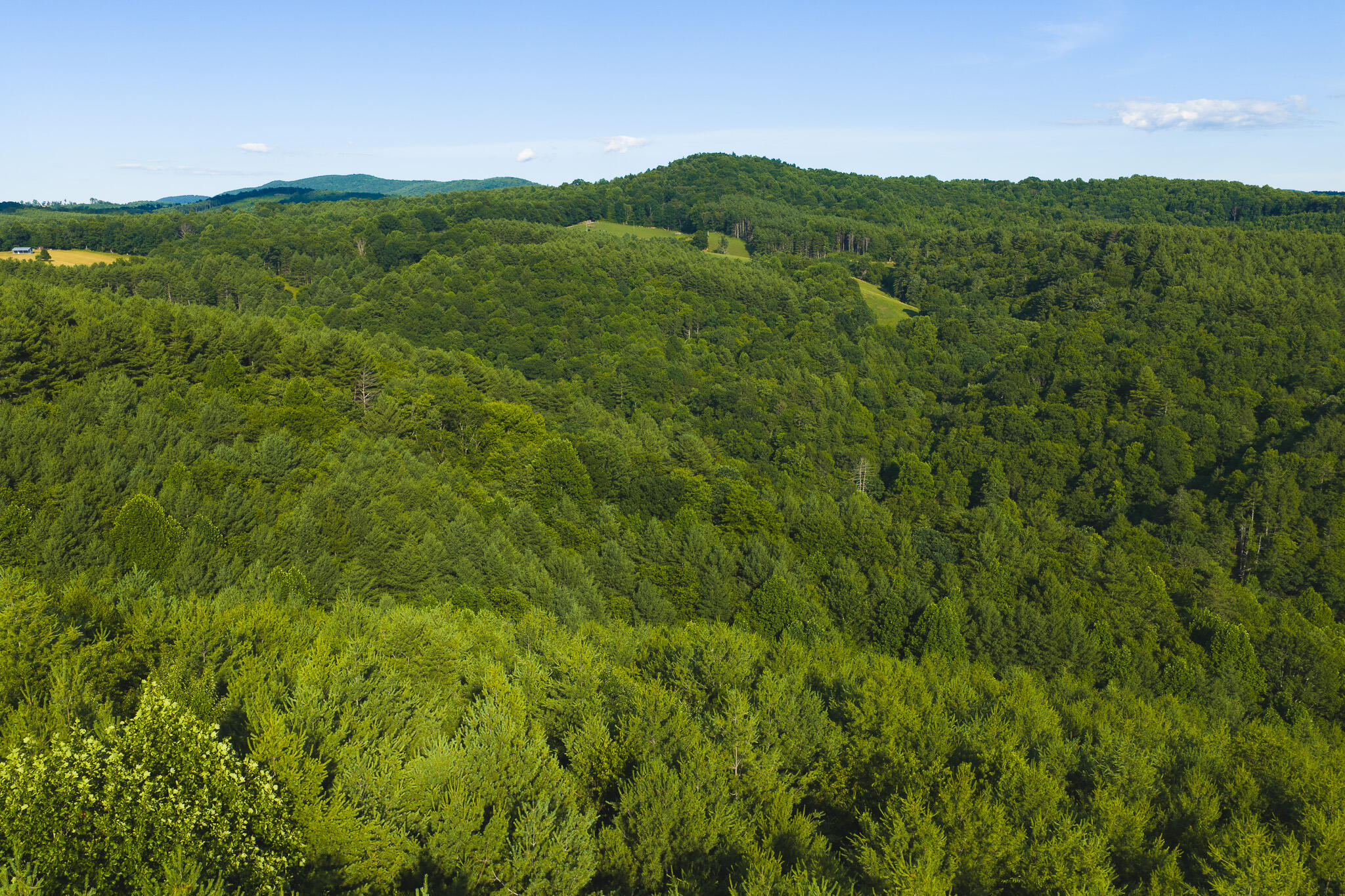 Tbd Sawmill Hill Road Northwest Willis, VA 24380 - Photo 13 of 40 a view of a lush green forest with a houses