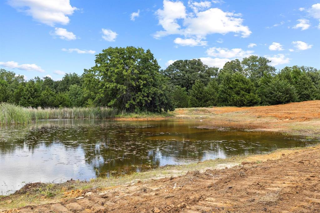 1445 Cedar Mills Road Gordonville, TX 76245 - Photo 18 of 28 Natural pond with established reeds and surrounding mature trees
