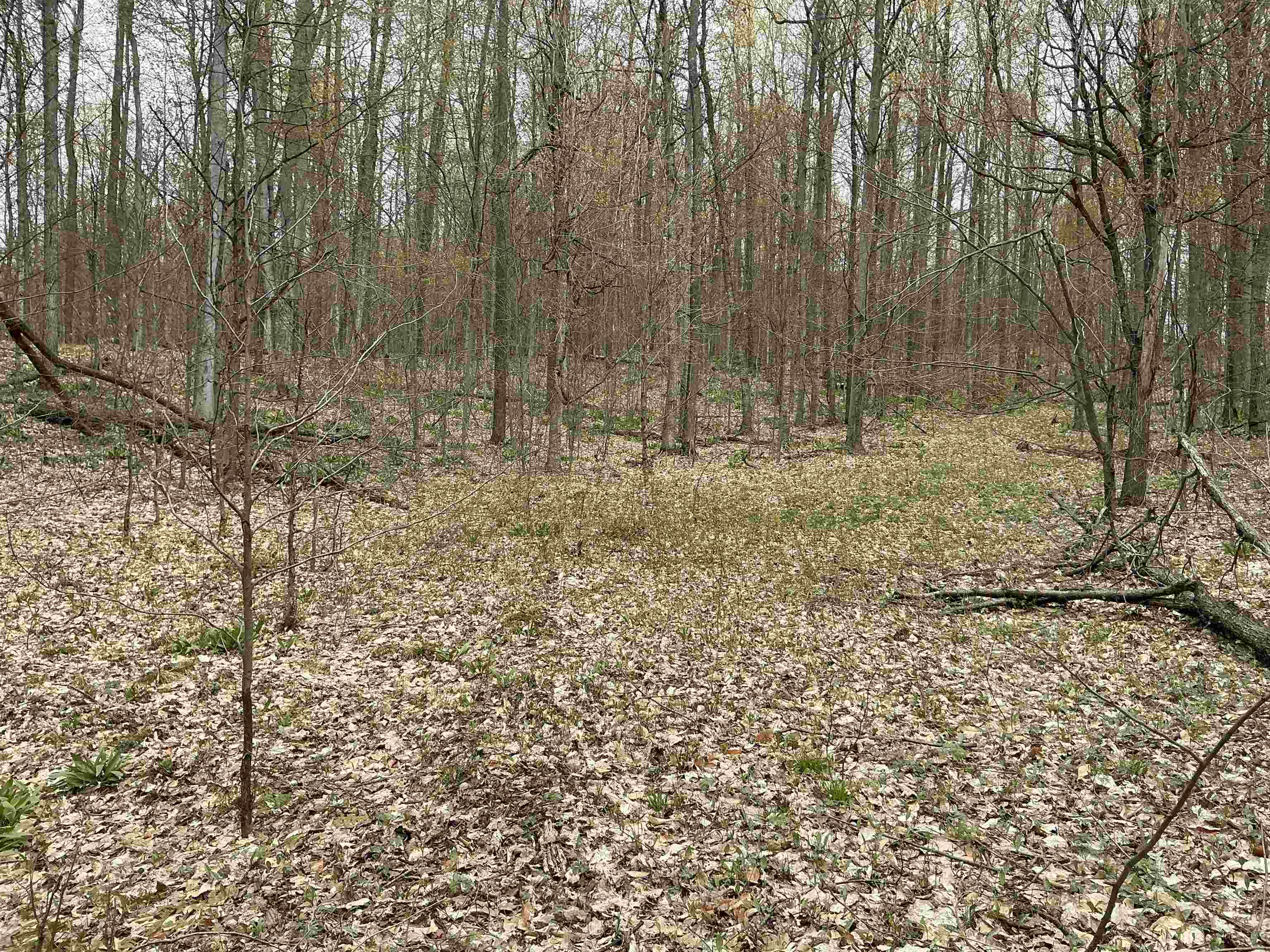 20-acres Zimmerman Road Northwest Alden, MI 49612 - Photo 7 of 11