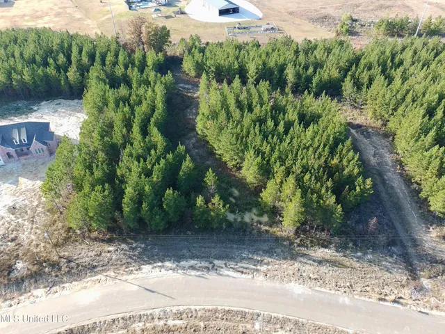 $128,200 | 902 Old Glory Lane, Brandon, MS 39047