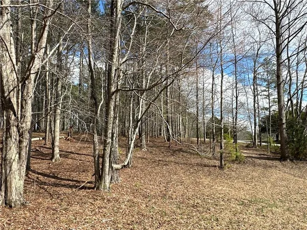 $651,000 | 265 Evans Drive, Buchanan, GA 30113