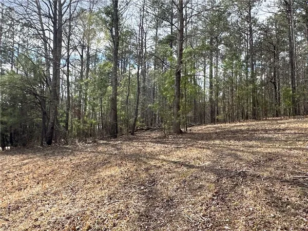 $651,000 | 265 Evans Drive, Buchanan, GA 30113