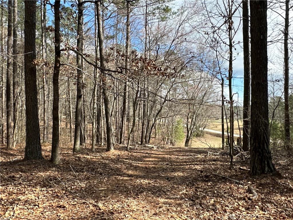 265 Evans Drive Buchanan, GA 30113 - Photo 104 of 123