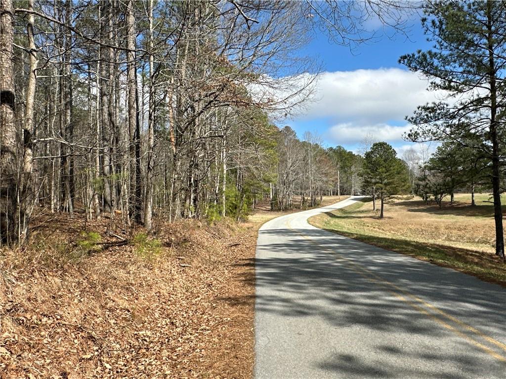 265 Evans Drive Buchanan, GA 30113 - Photo 105 of 123