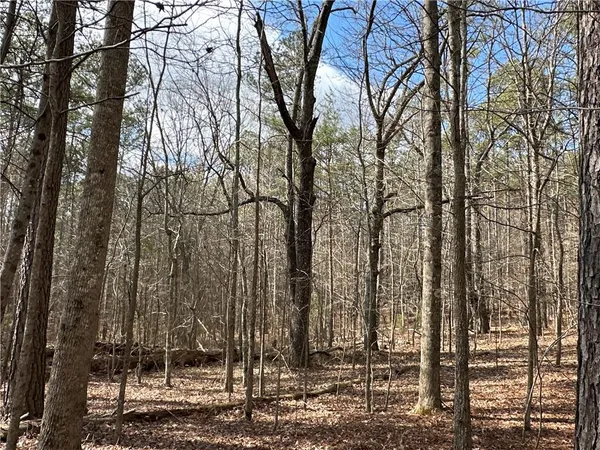 $651,000 | 265 Evans Drive, Buchanan, GA 30113