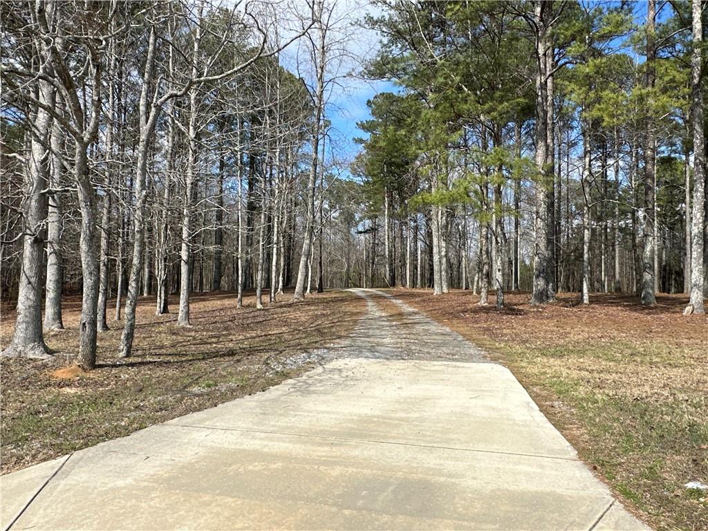 265 Evans Drive Buchanan, GA 30113 - Photo 107 of 123