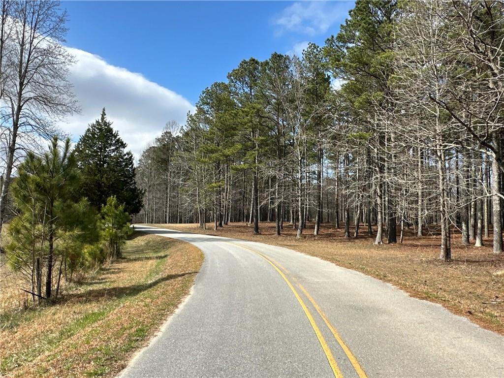 265 Evans Drive Buchanan, GA 30113 - Photo 108 of 123